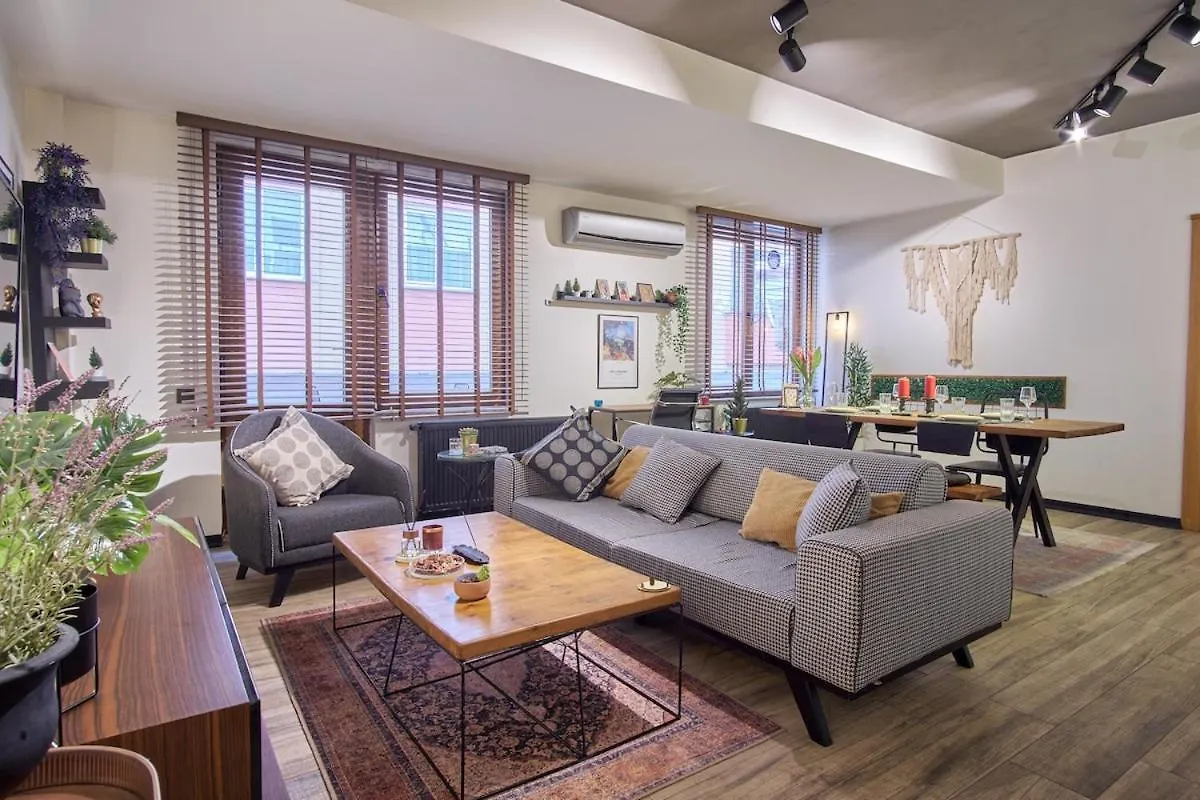 公寓 Lovely&Modern Penthouse In The Heart Of Sisli! 伊斯坦布尔 土耳其