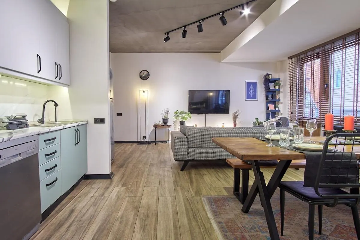 公寓 Lovely&Modern Penthouse In The Heart Of Sisli! 伊斯坦布尔 土耳其